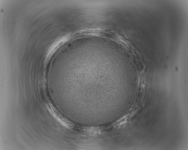 X0000057090293200509161636