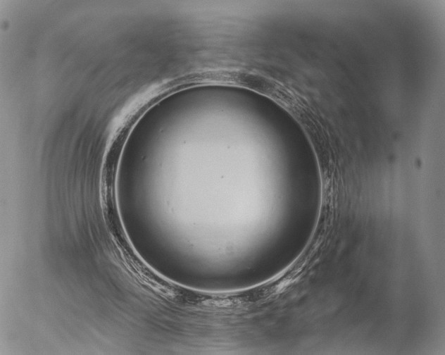 X0000057090294200509161636