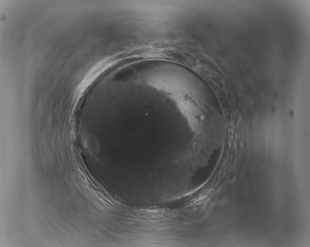 X0000057090295200509161636