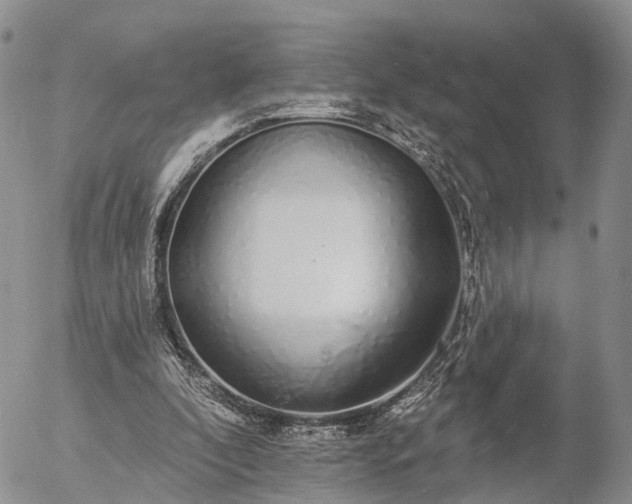 X0000057090296200509161636