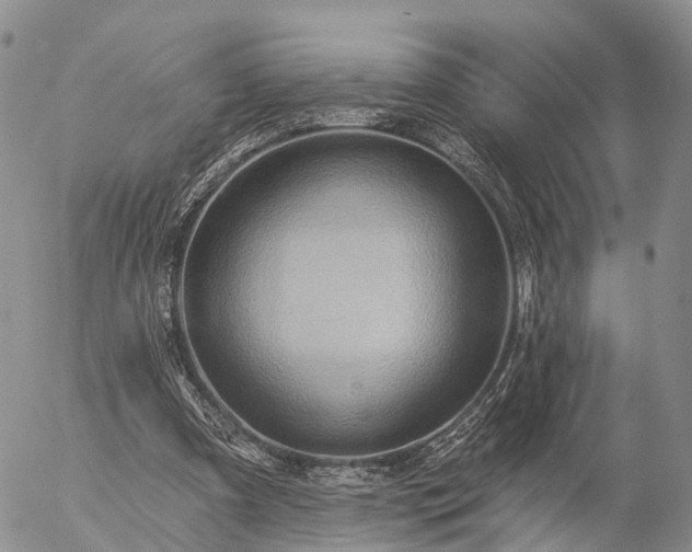 X0000057090297200509161636