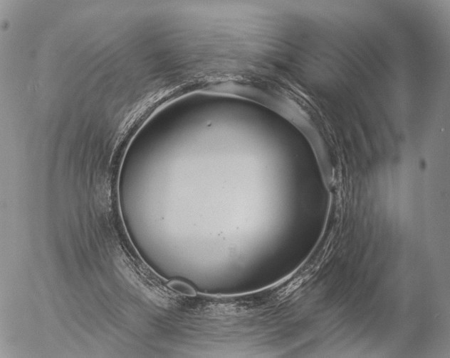 X0000057090298200509161636