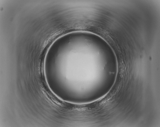 X0000057090299200509161636