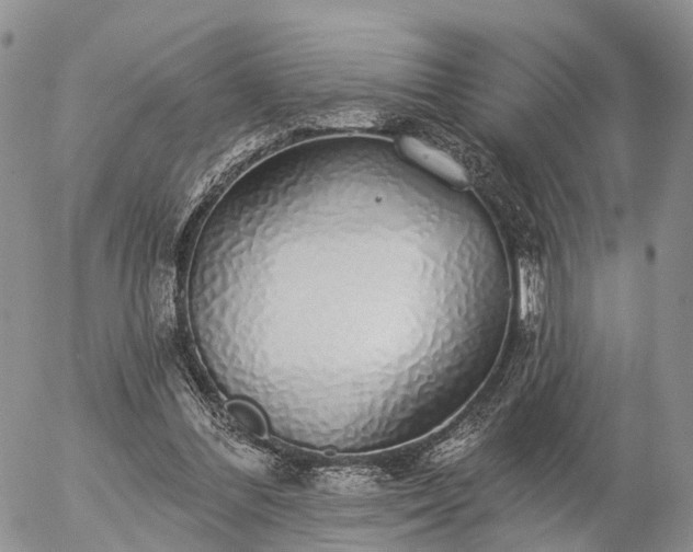 X0000057090300200509161636