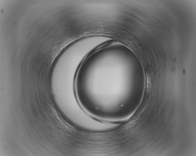 X0000057090301200509161636