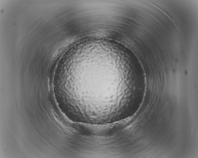 X0000057090302200509161636