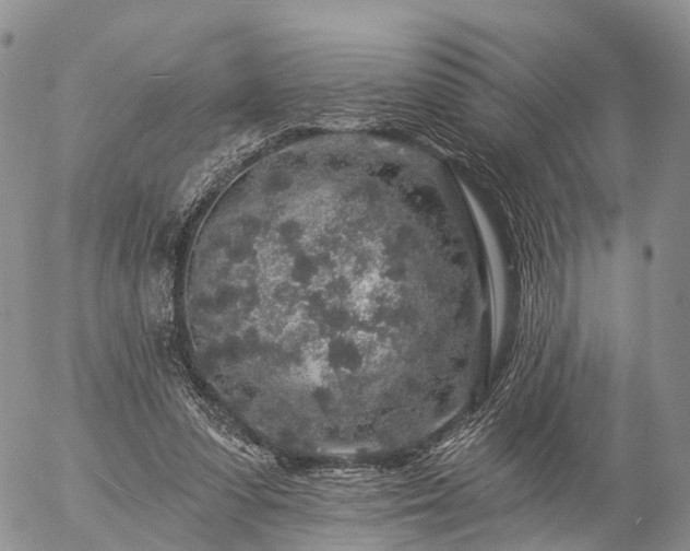 X0000057090303200509161636