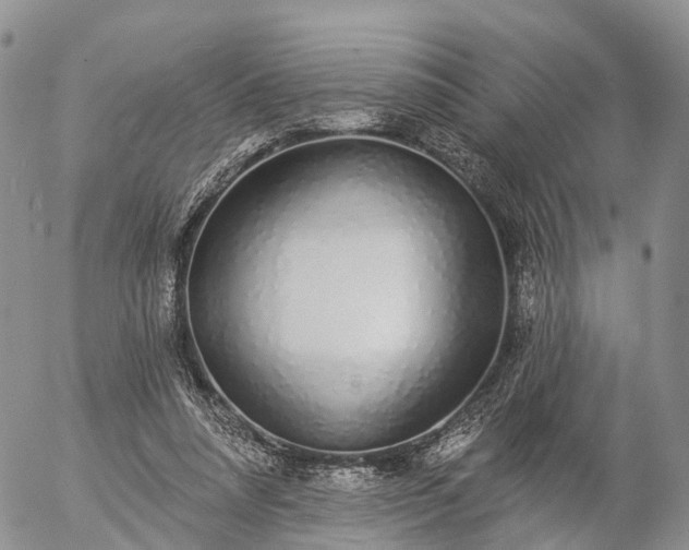 X0000057090304200509161636