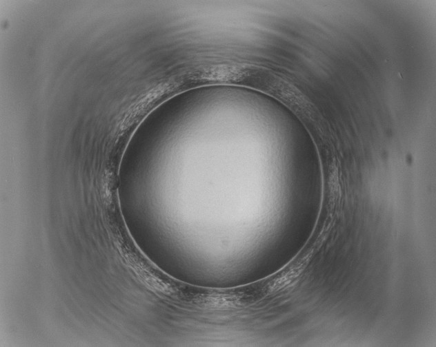 X0000057090305200509161636