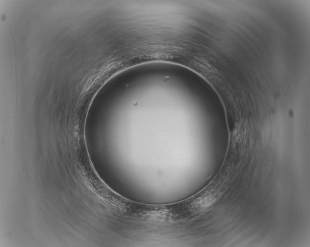 X0000057090306200509161636