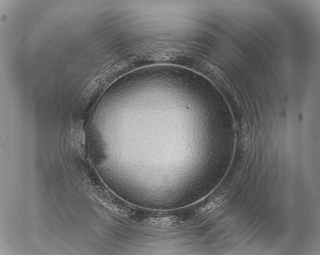 X0000057090307200509161636