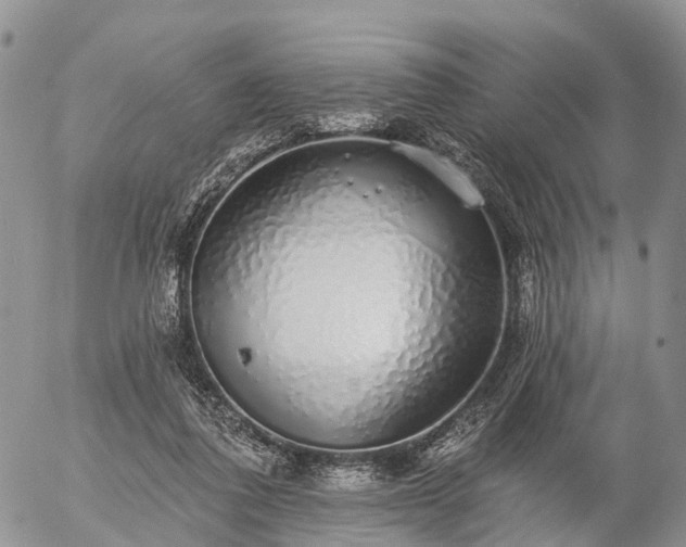 X0000057090308200509161636