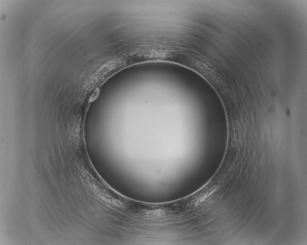 X0000057090309200509161636