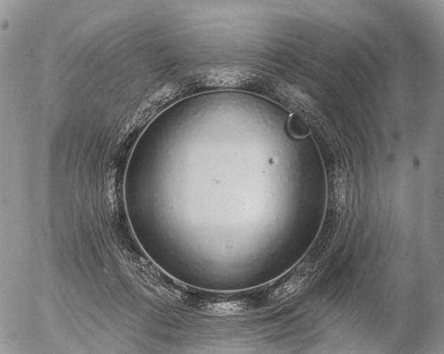 X0000057090312200509161636