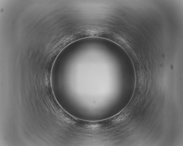 X0000057090313200509161636