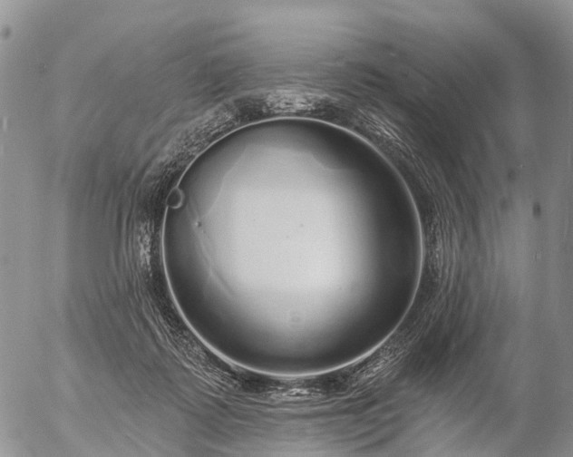 X0000057090315200509161636