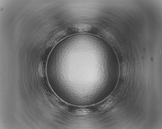 X0000057090316200509161636