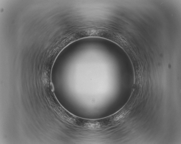 X0000057090317200509161636