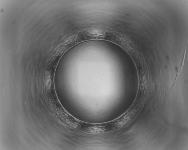 X0000057090320200509161636