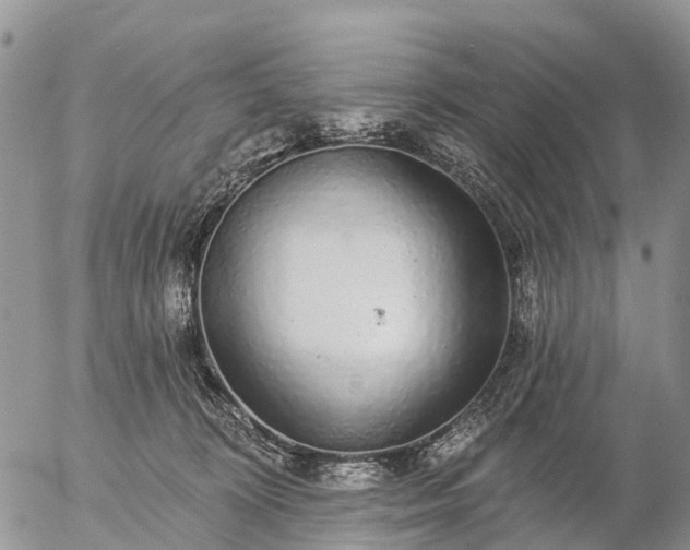 X0000057090324200509161636