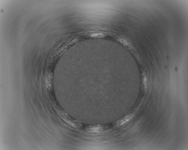 X0000057090325200509161636