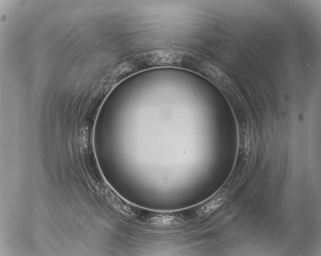 X0000057090326200509161636