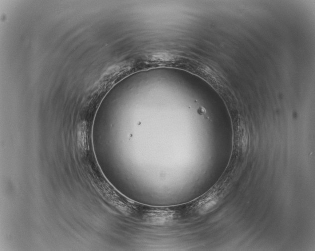 X0000057090328200509161636