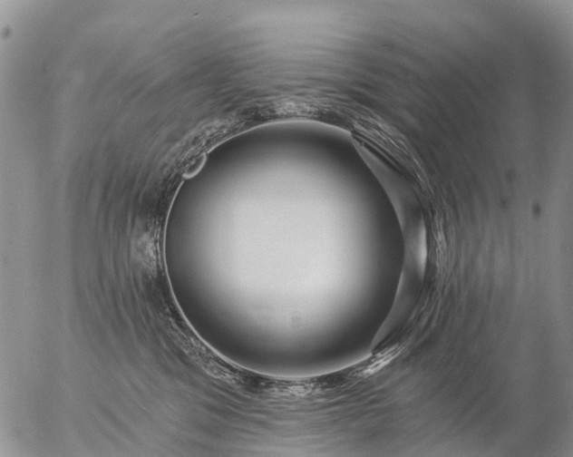 X0000057090329200509161636