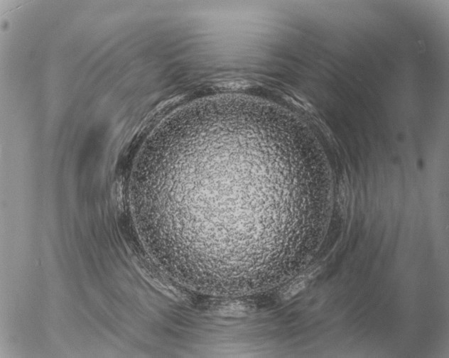 X0000057090330200509161636