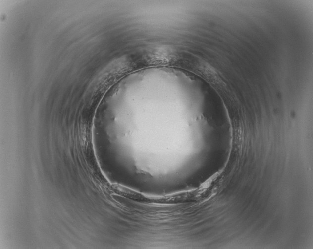 X0000057090331200509161636