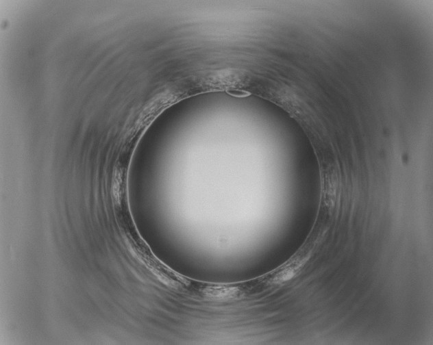 X0000057090334200509161635