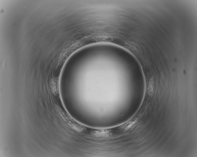 X0000057090335200509161635