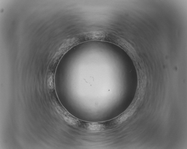 X0000057090336200509161635