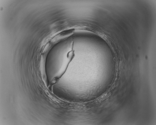 X0000057090337200509161635