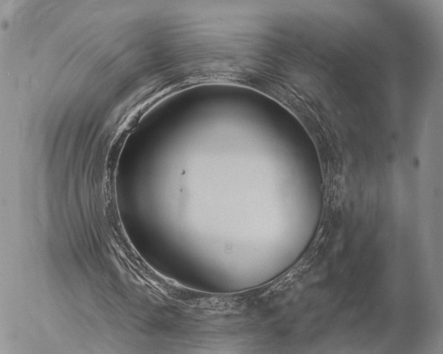 X0000057090338200509161635