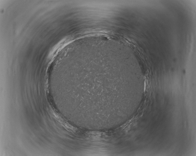 X0000057090339200509161635