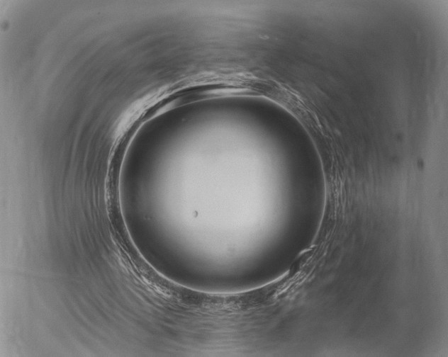 X0000057090340200509161635