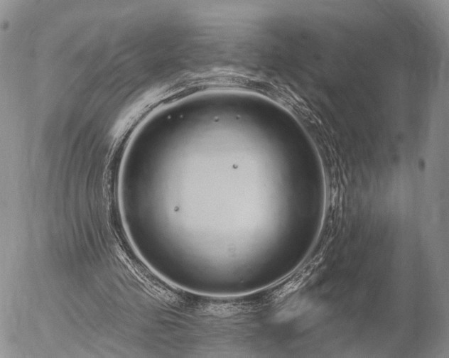 X0000057090341200509161635