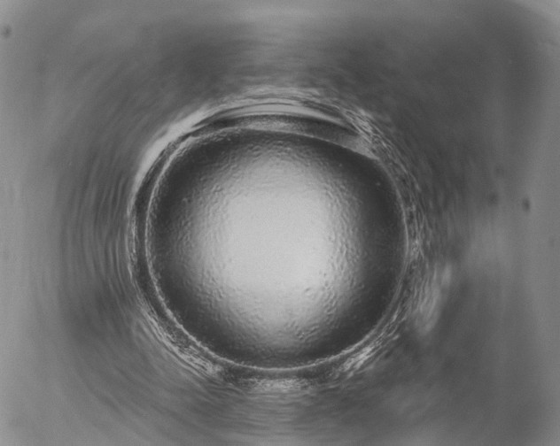 X0000057090342200509161635