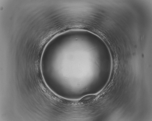 X0000057090345200509161635