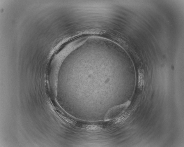 X0000057090348200509161635