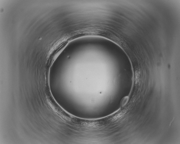 X0000057090349200509161635