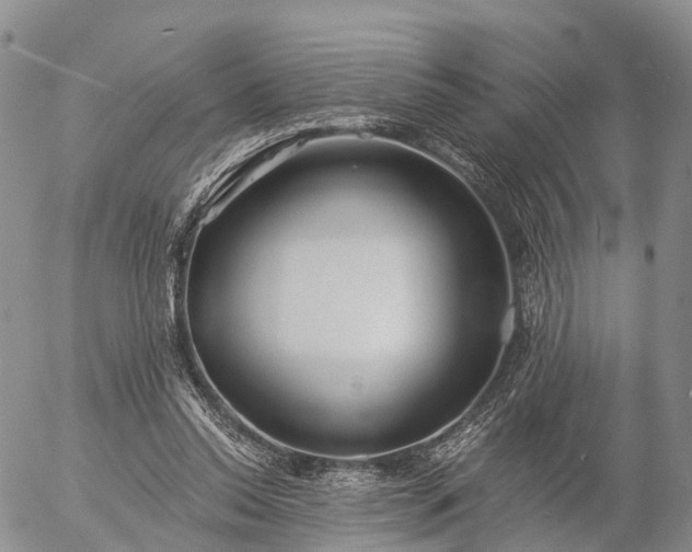 X0000057090350200509161635