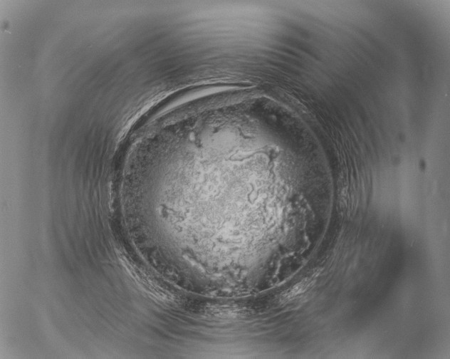 X0000057090351200509161635