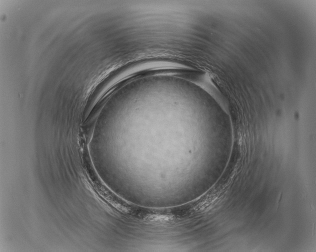 X0000057090352200509161635