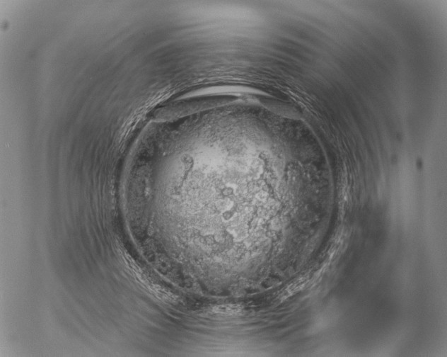 X0000057090353200509161635