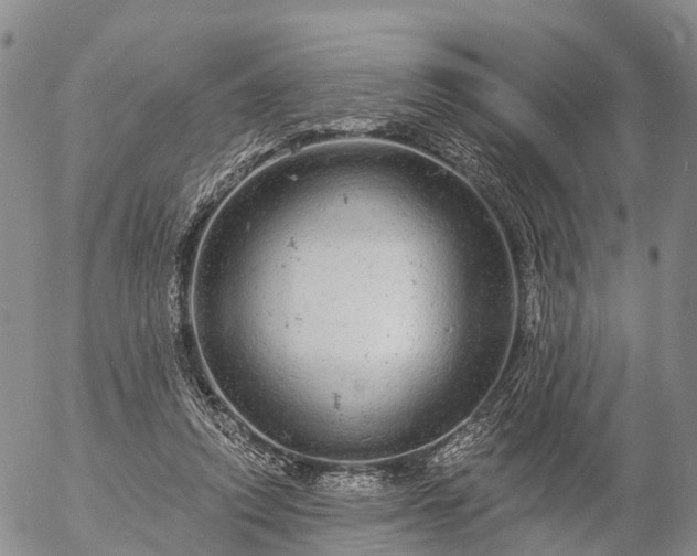 X0000057090354200509161635