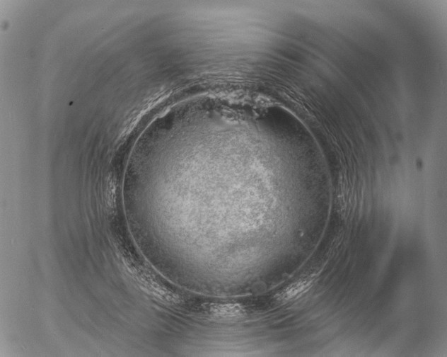 X0000057090355200509161635