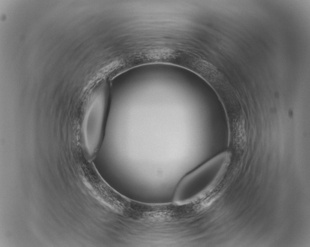 X0000057090356200509161635