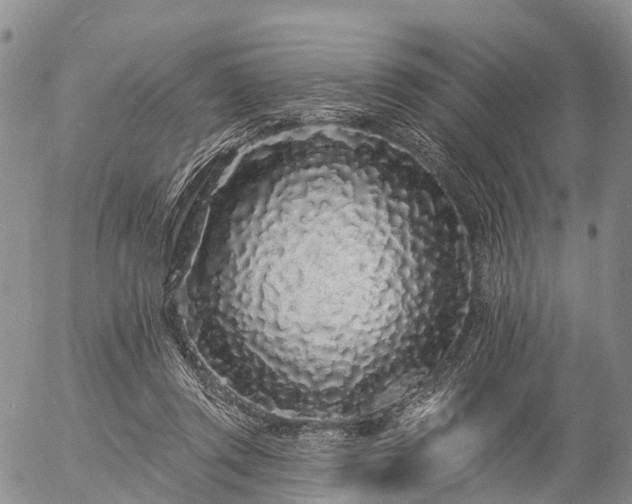 X0000057090357200509161635